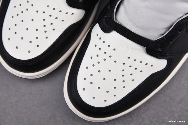 RETRO JORDAN DARK 1 AIR 555088-105 HIGH MOCHA 1001
